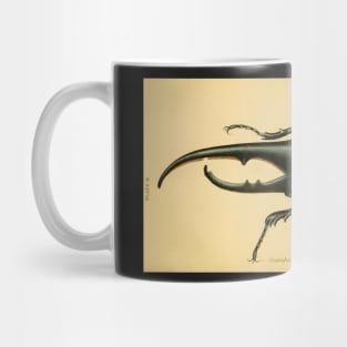 scarabaeus hercules: Scarab Beetle (male) Mug